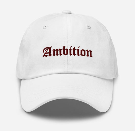 New Hat Alert : Ambition Collection ....Never Lose only learn