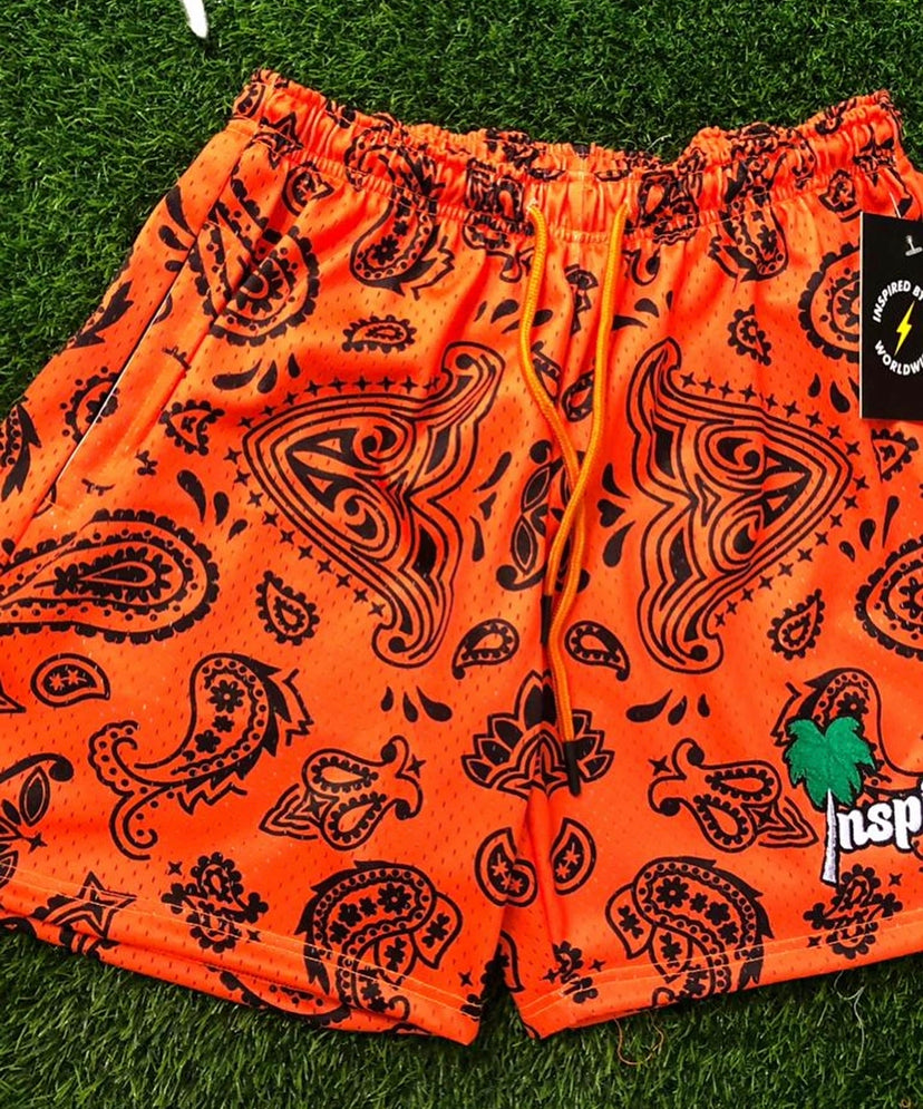Inspired Summertime Madness  Shorts (pre order) -  Inspired  By All